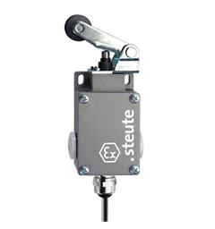 Ex Position switch ExM 61 WHL 3m IP65 (1CO) II 2G Ex de IIC T6